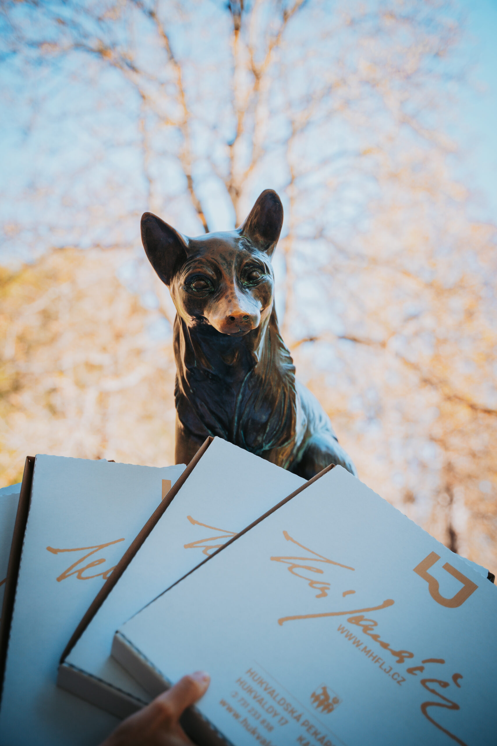 Hukvaldské lopaťáky