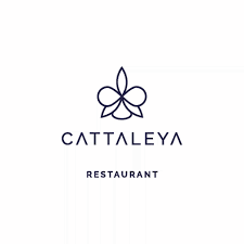 CATTALEYA